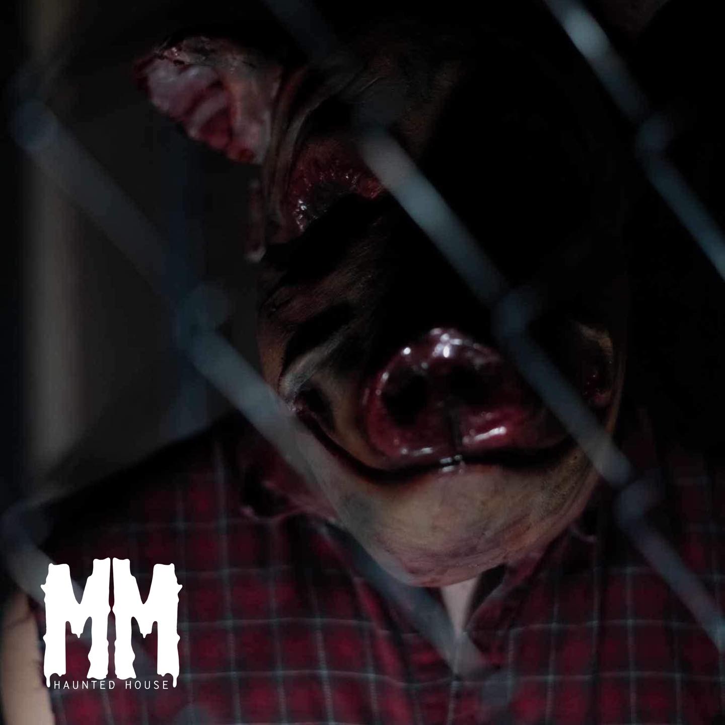 Midnite Malice