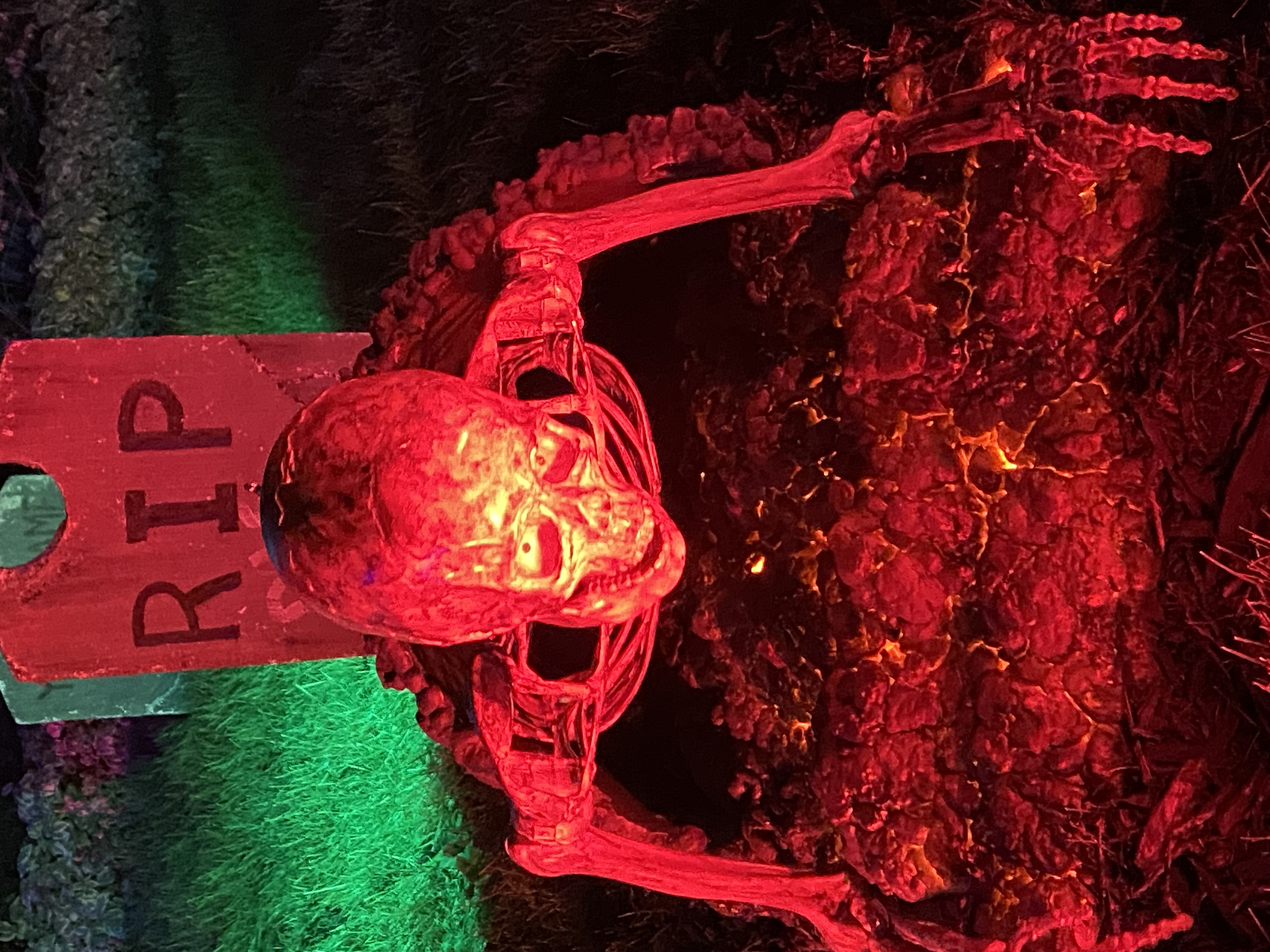 Live Undead on Lexington