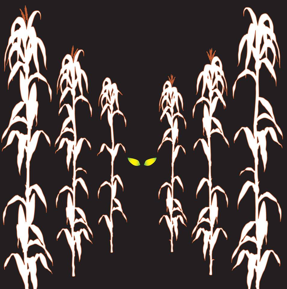 Hallows Hall Haunted Corn Maze