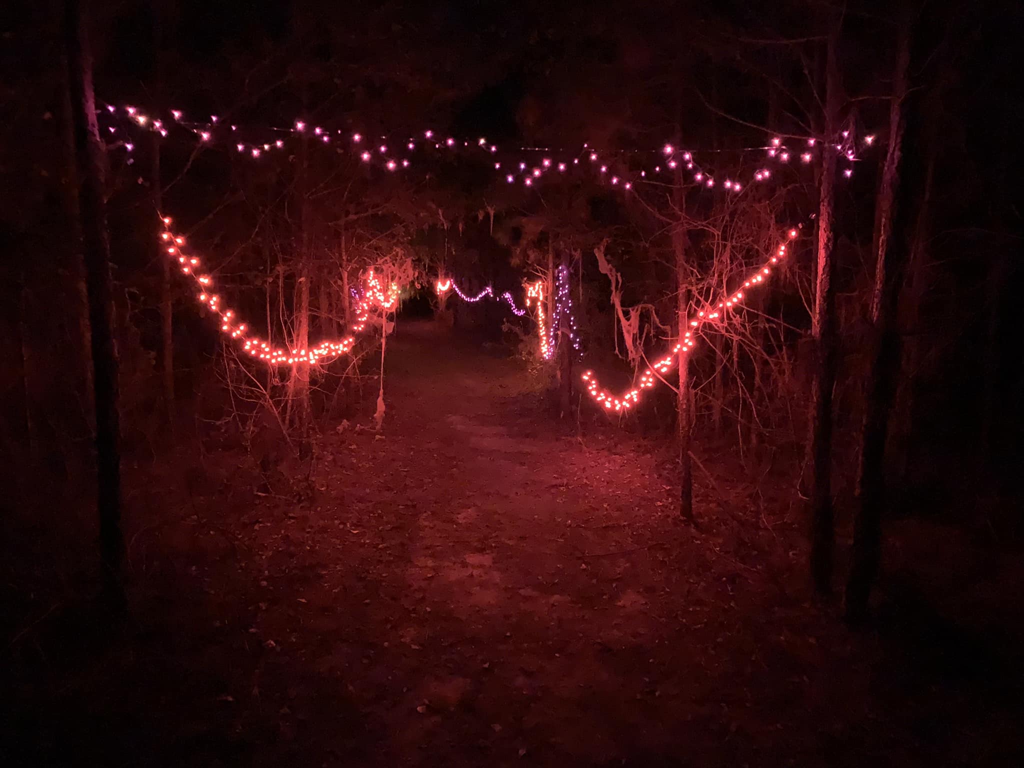 Wicked Woods of Wheeler