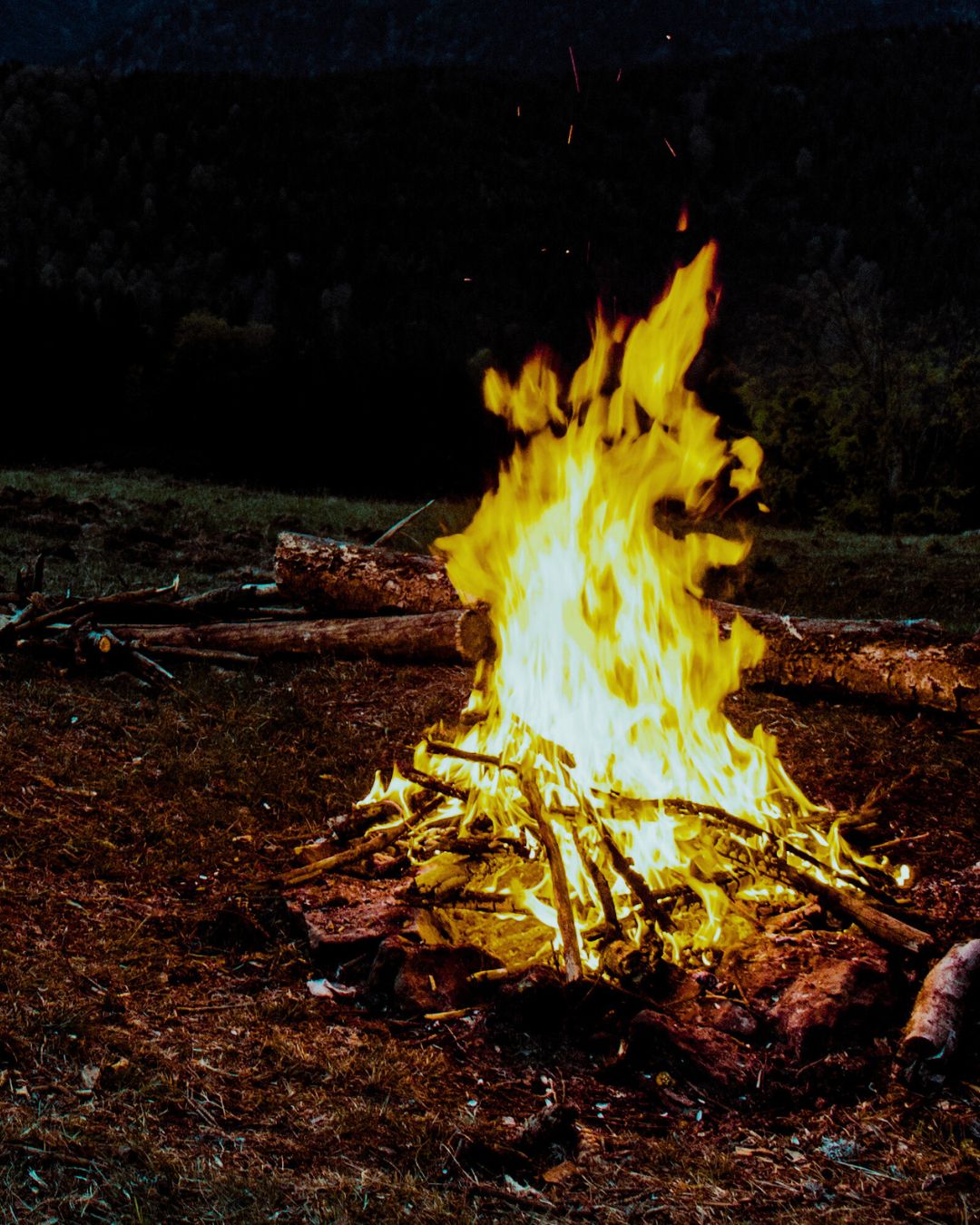 Camp Slasher
