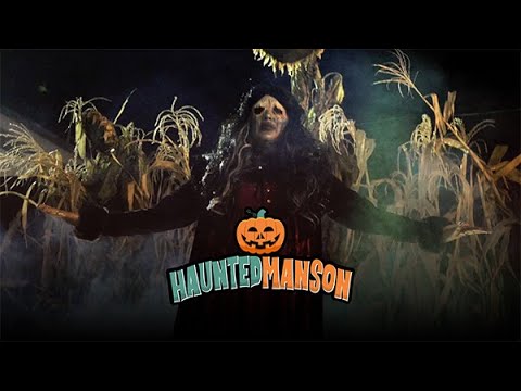 Haunted House Experience