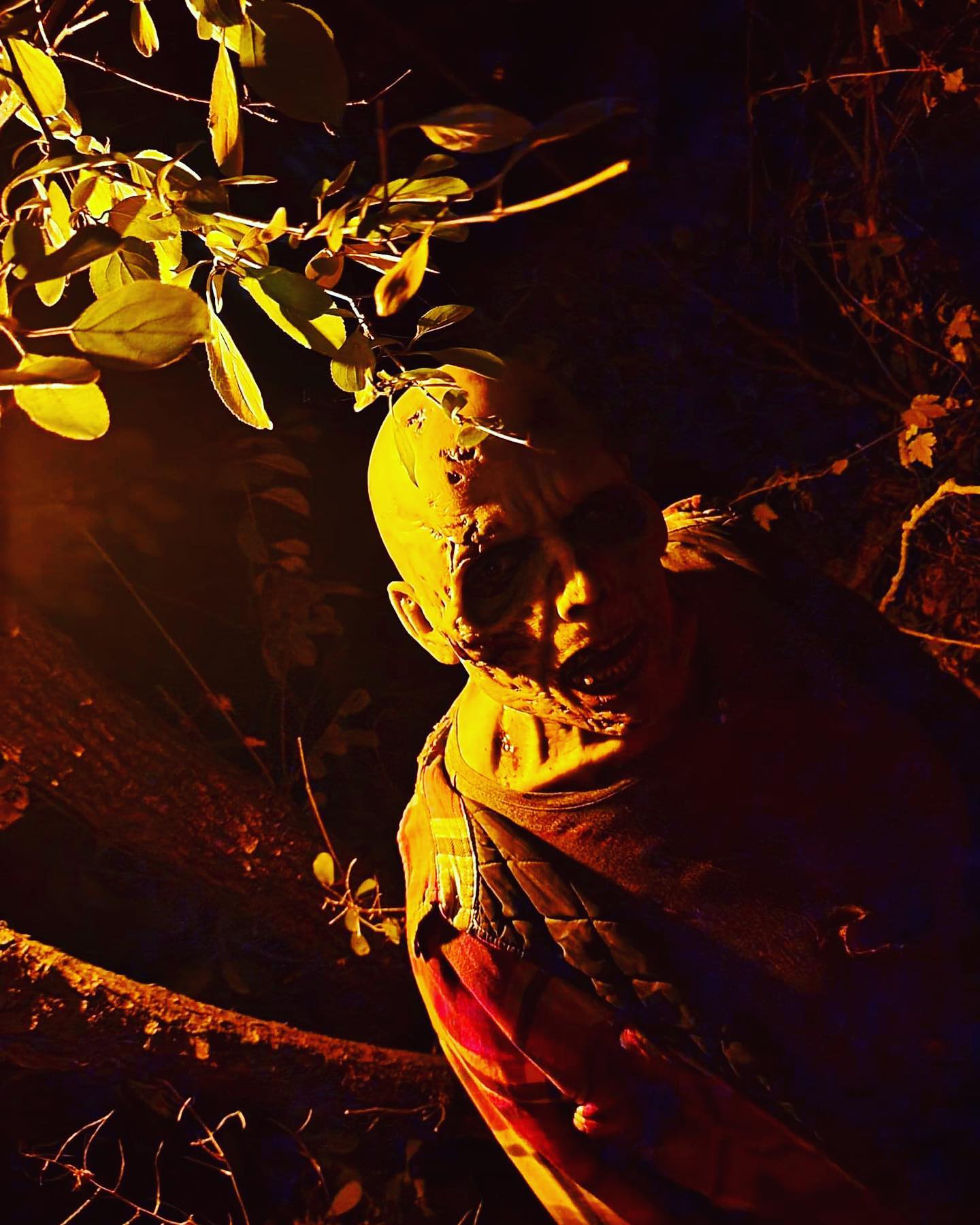 Frightmare Forest