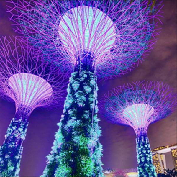 Secret Society Singapur