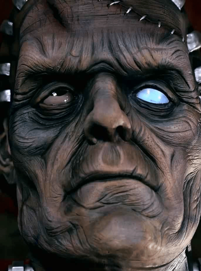 Het mysterie van Dr. Frankenstein