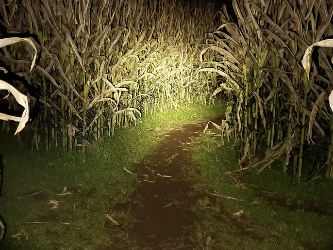 Flashlight Maze