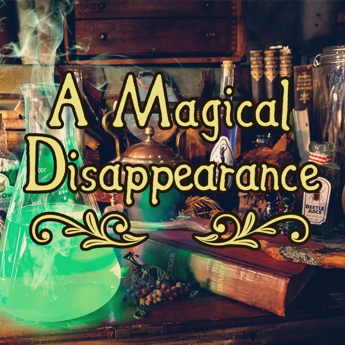 A Magical Disappearance