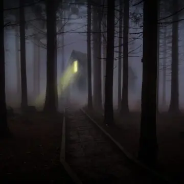 Das Haus im Wald [The House In The Forest]