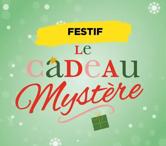 Le Cadeau Mystère