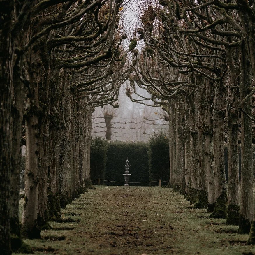 The Curse At Willow Creek
