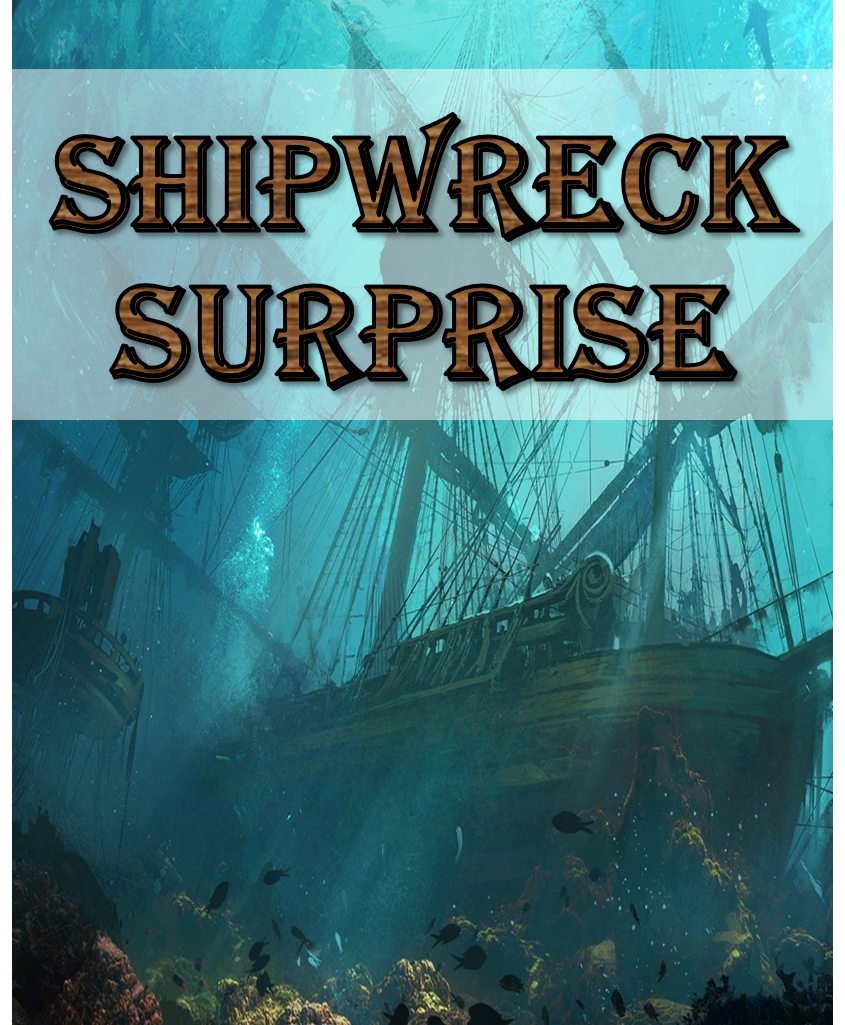 Shipwreck Surprise
