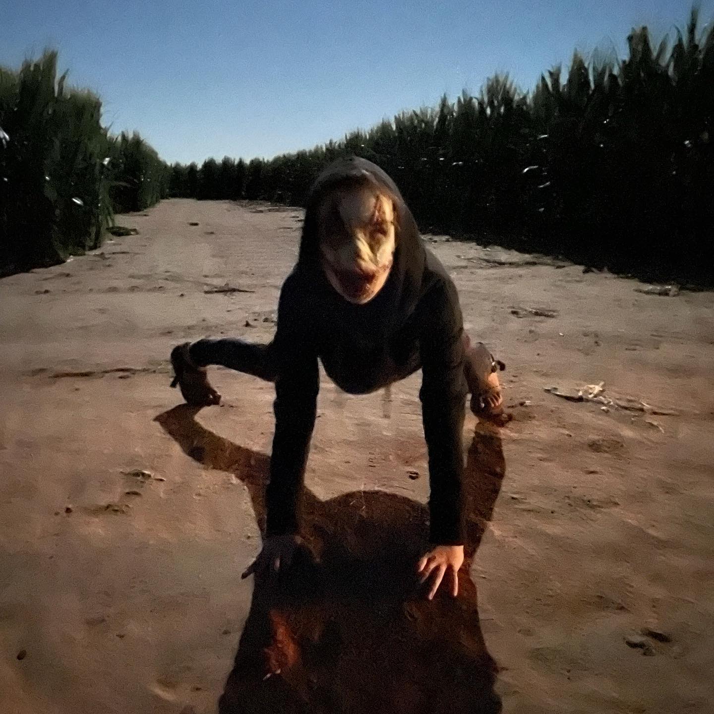 Haunted Corn Maze