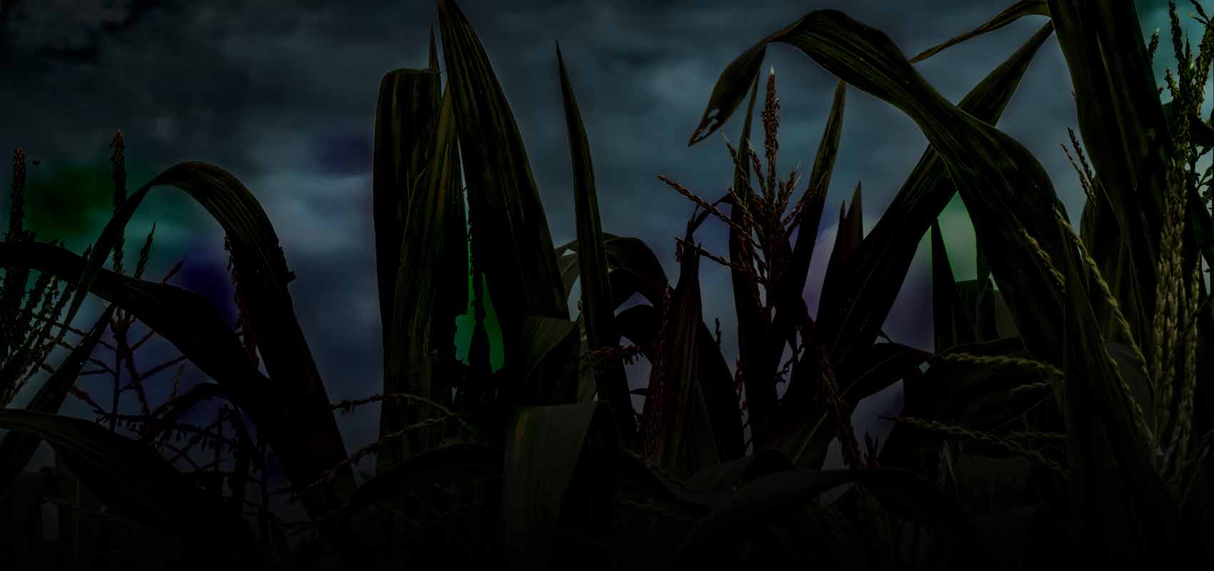 Shelby Haunted Maze
