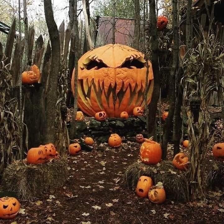 Grim's Haunted House