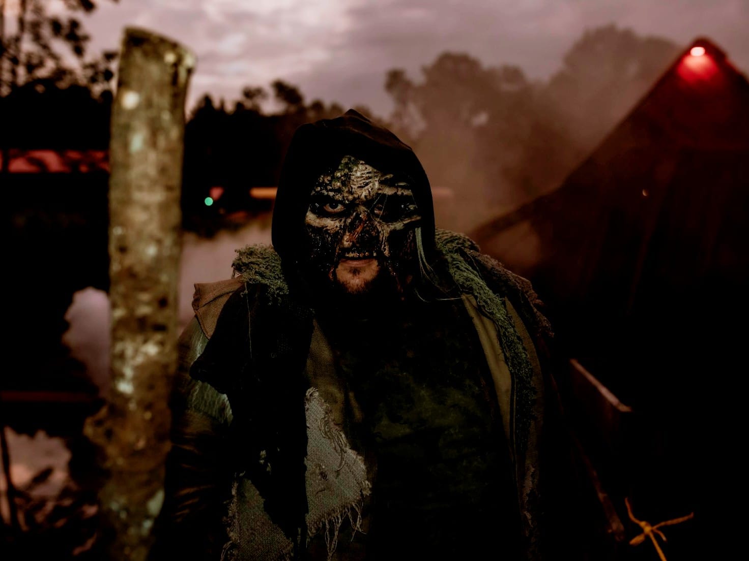 The Infected Crop and Demented Forest