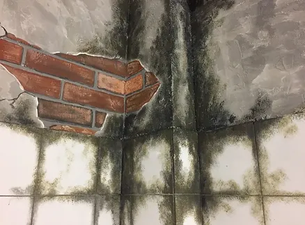 Vivre ou Mourir