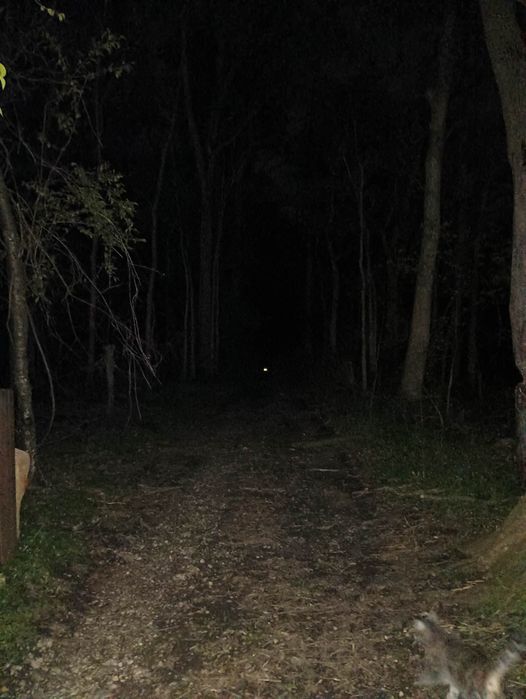 Destination Evil