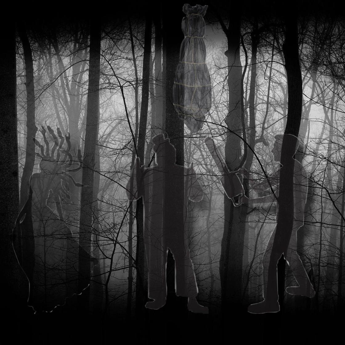 Shadows in the Dark