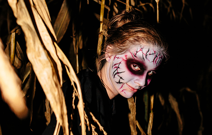 Fields Of Fear