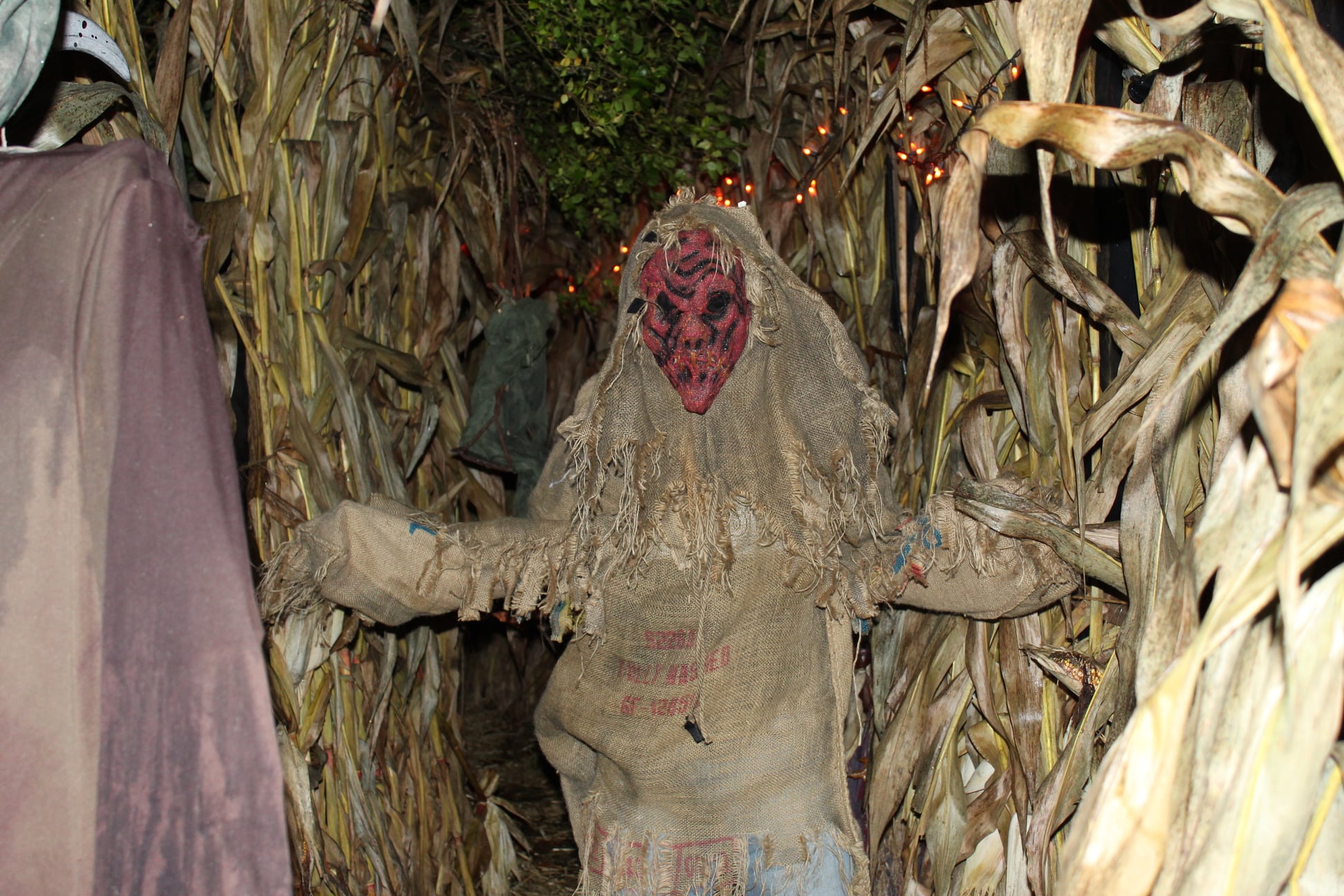 Rosewood's Haunted Maze