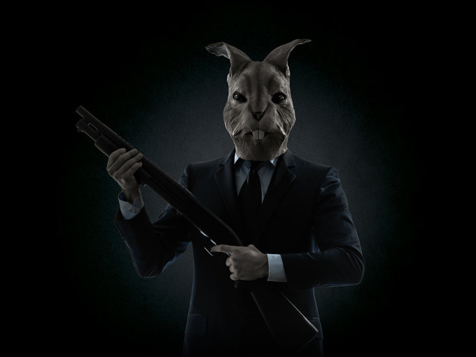 Rabbit6