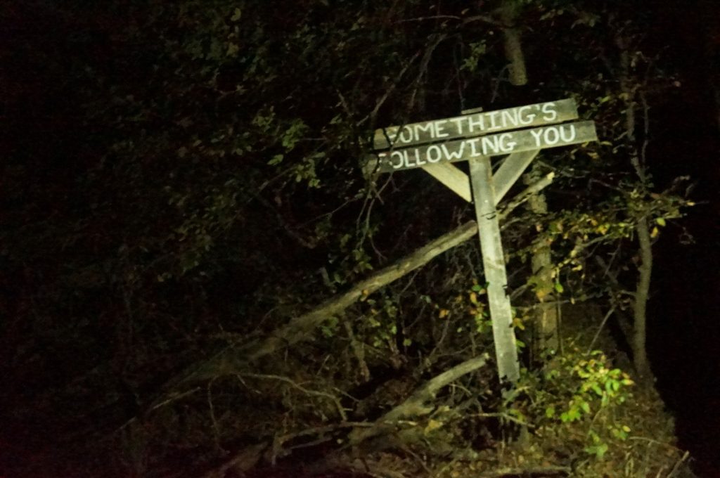 Haunted Shadows Lake Trail