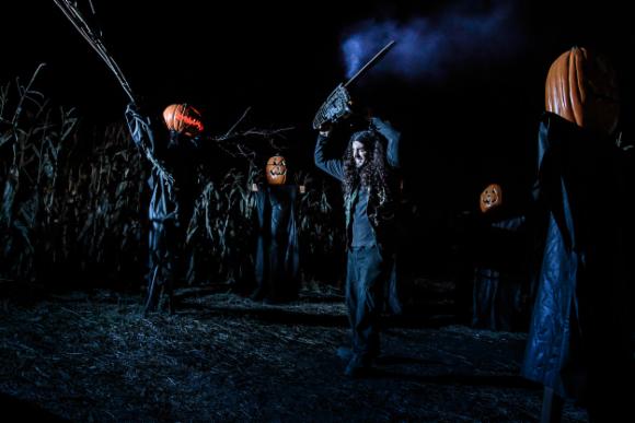 Haunted Cannabis Maze