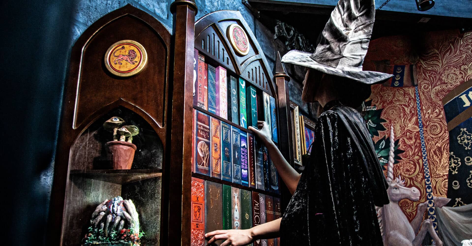 Die Magische Universität [The Magical University]