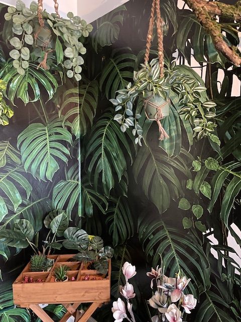 Botanica