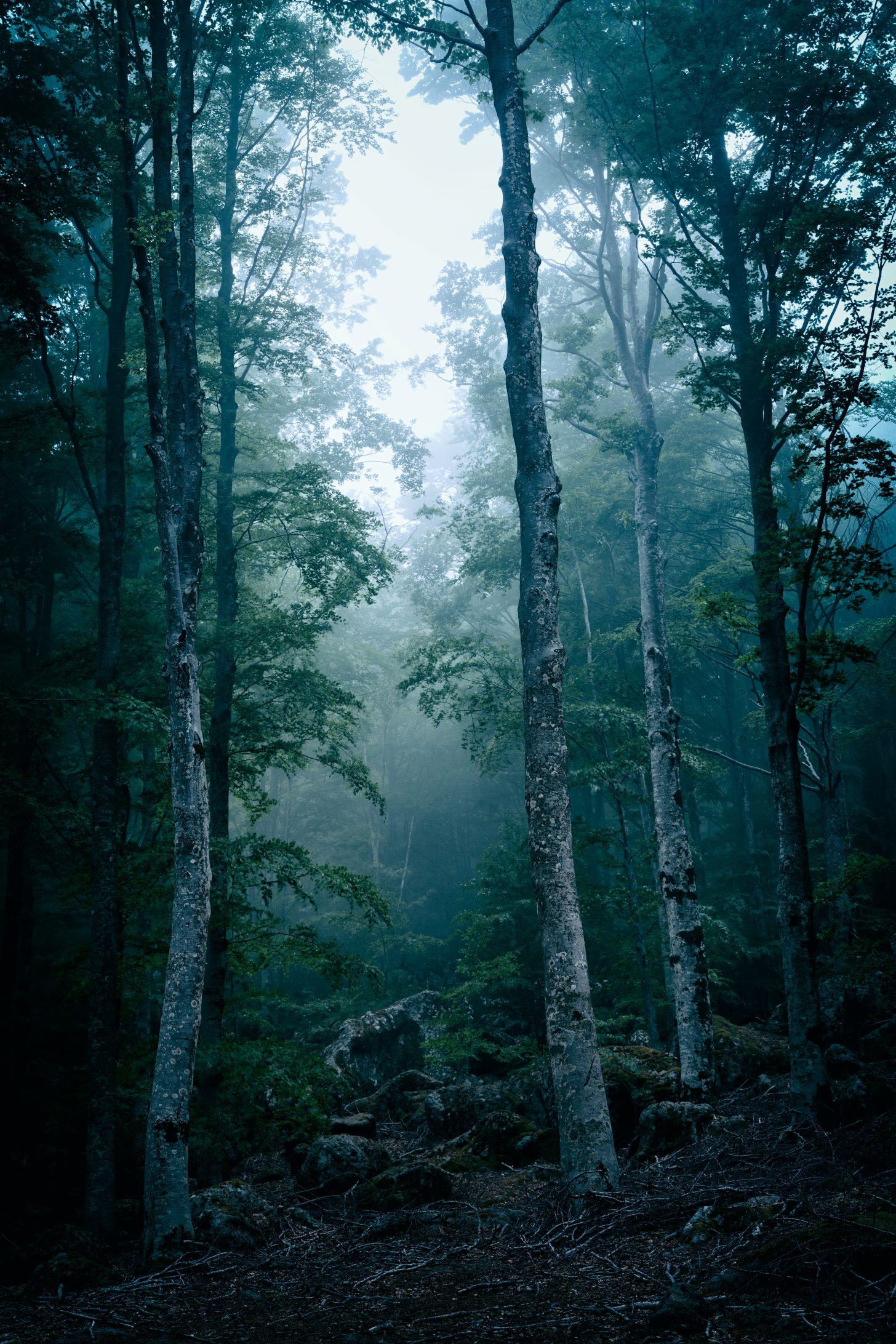 Devil's Hollow