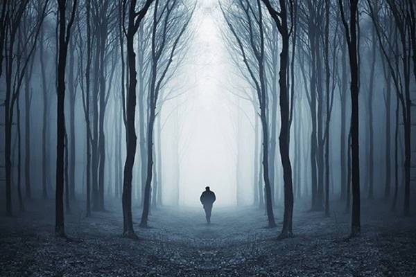 The Forest