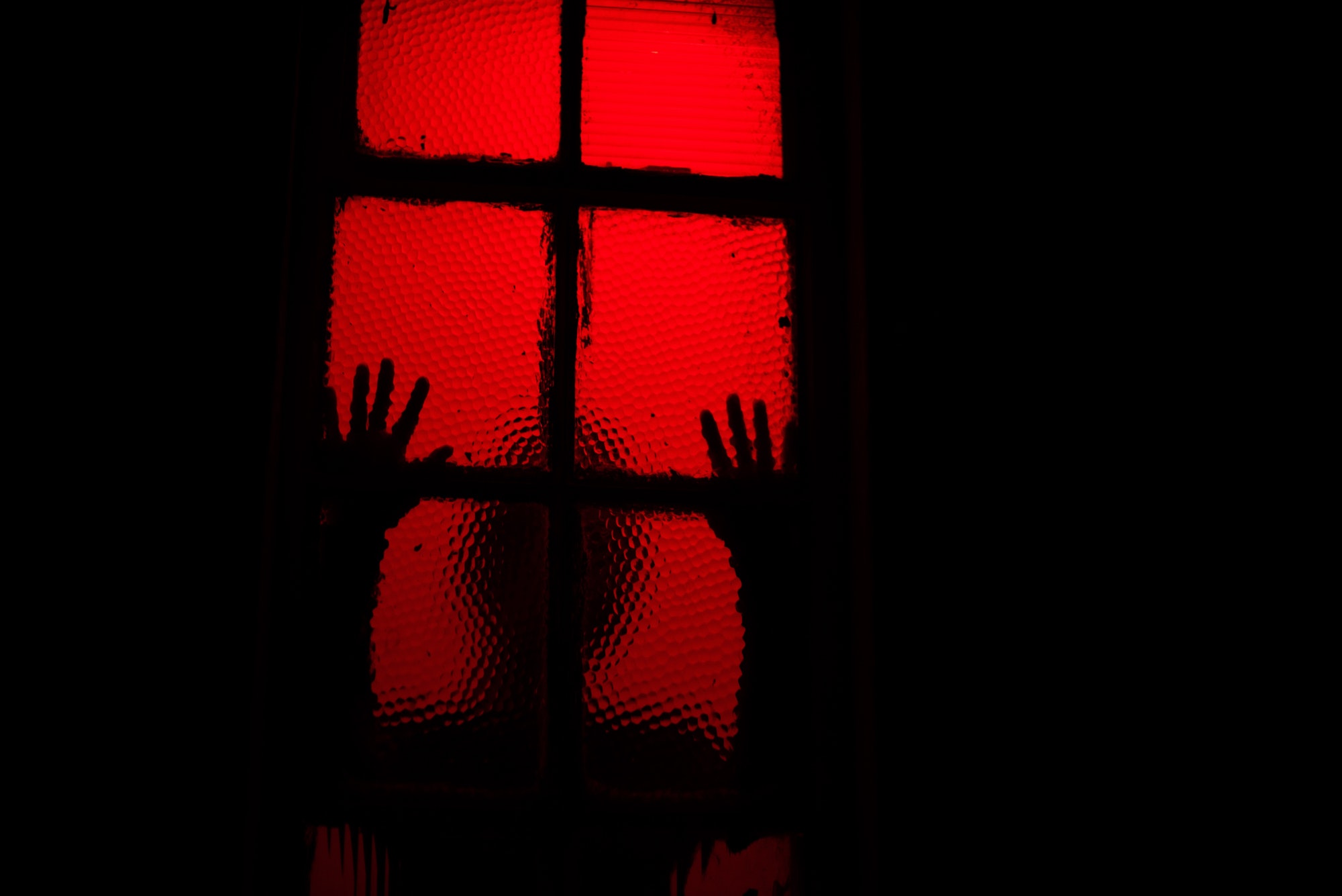 The Final Exorcism / Circus of Hell 3D