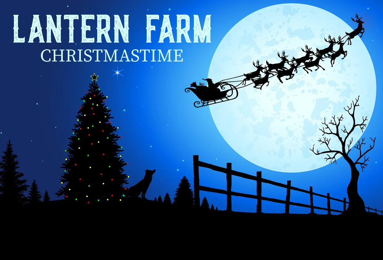 Christmastime at Lantern Farm
