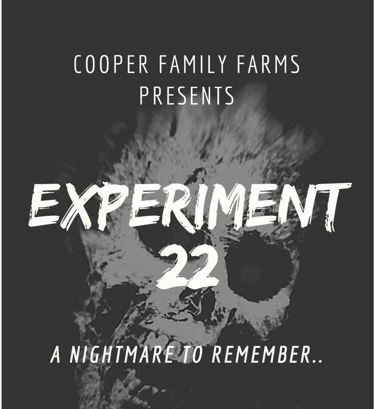 The Experiment 22