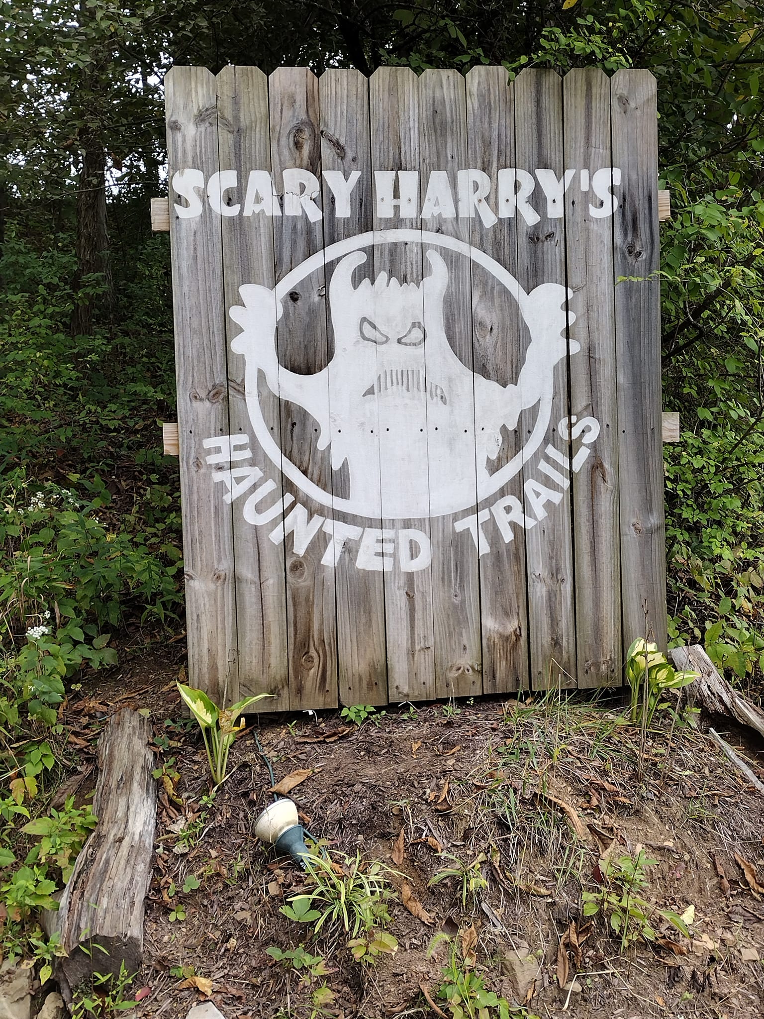 Scary Harry’s
