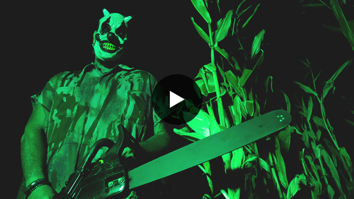 The Haunt
