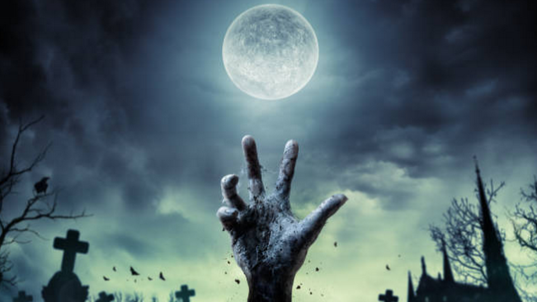 The Haunted  Grounds