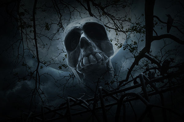 Wicked Woods