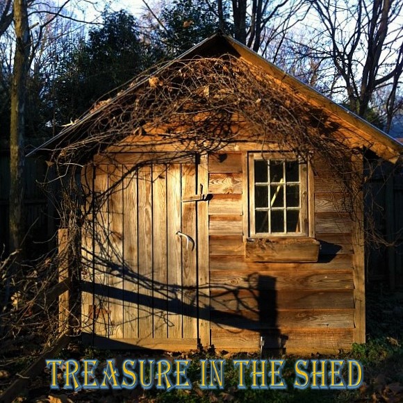 Treasure in the Shed