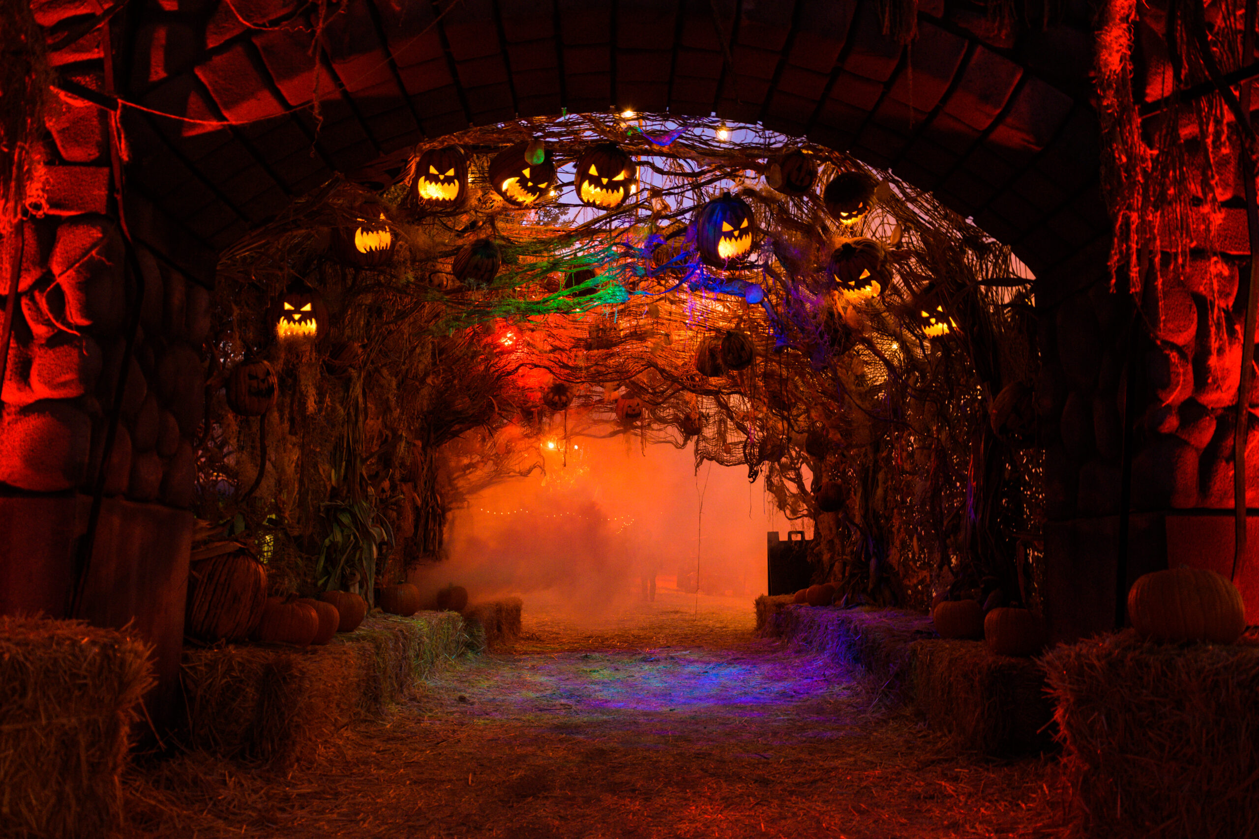 Los Angeles Haunted Hayride