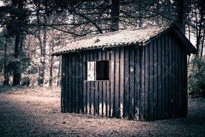 Cabin Fever