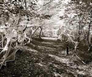 Eerie Trail