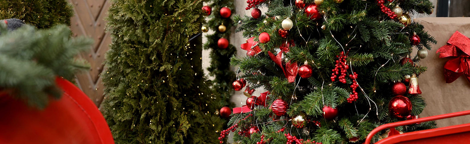 Christmas Catastrophe