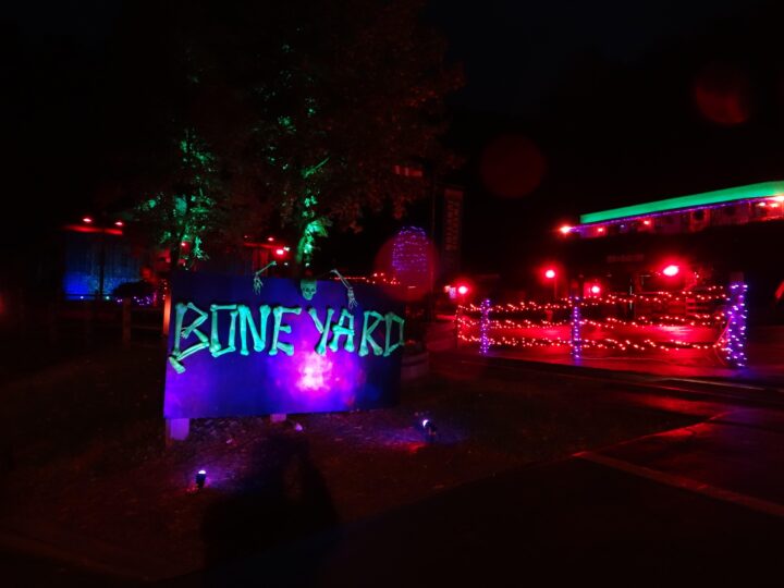 The Boneyard