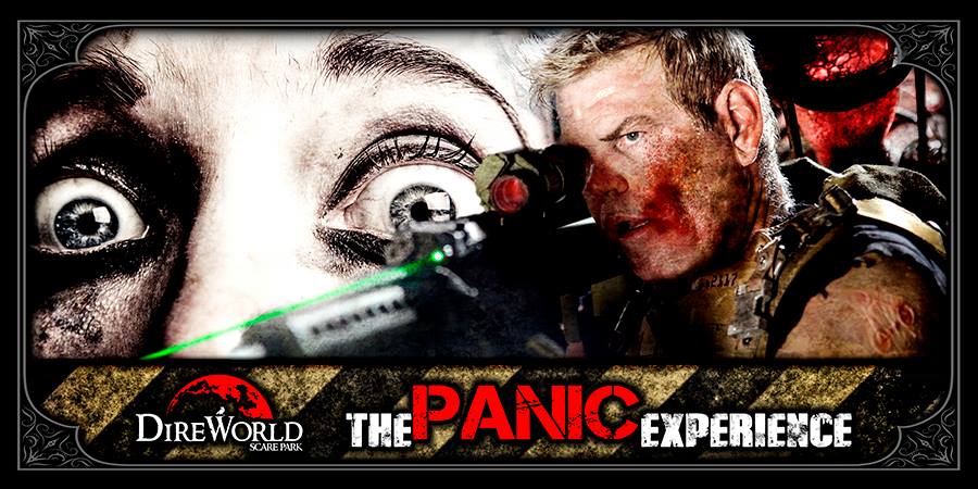 The Panic Experience