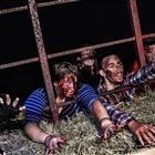Cursed Hayride