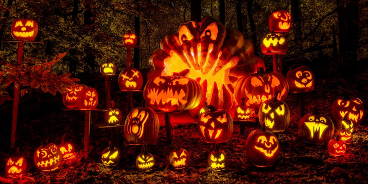 Farmer City Haunted Forest