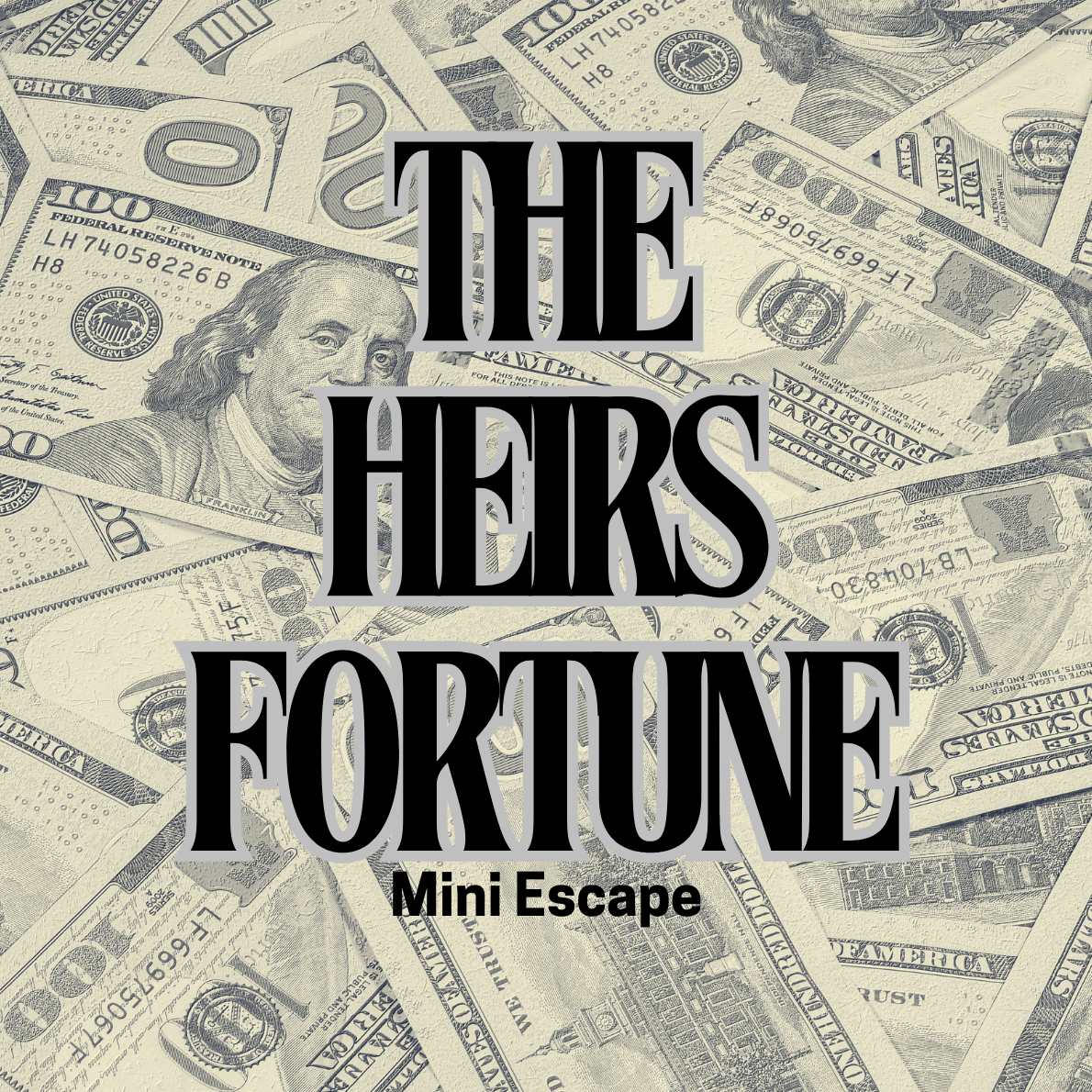 The Heir's Fortune