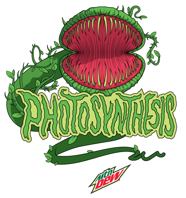 Photosynthesis