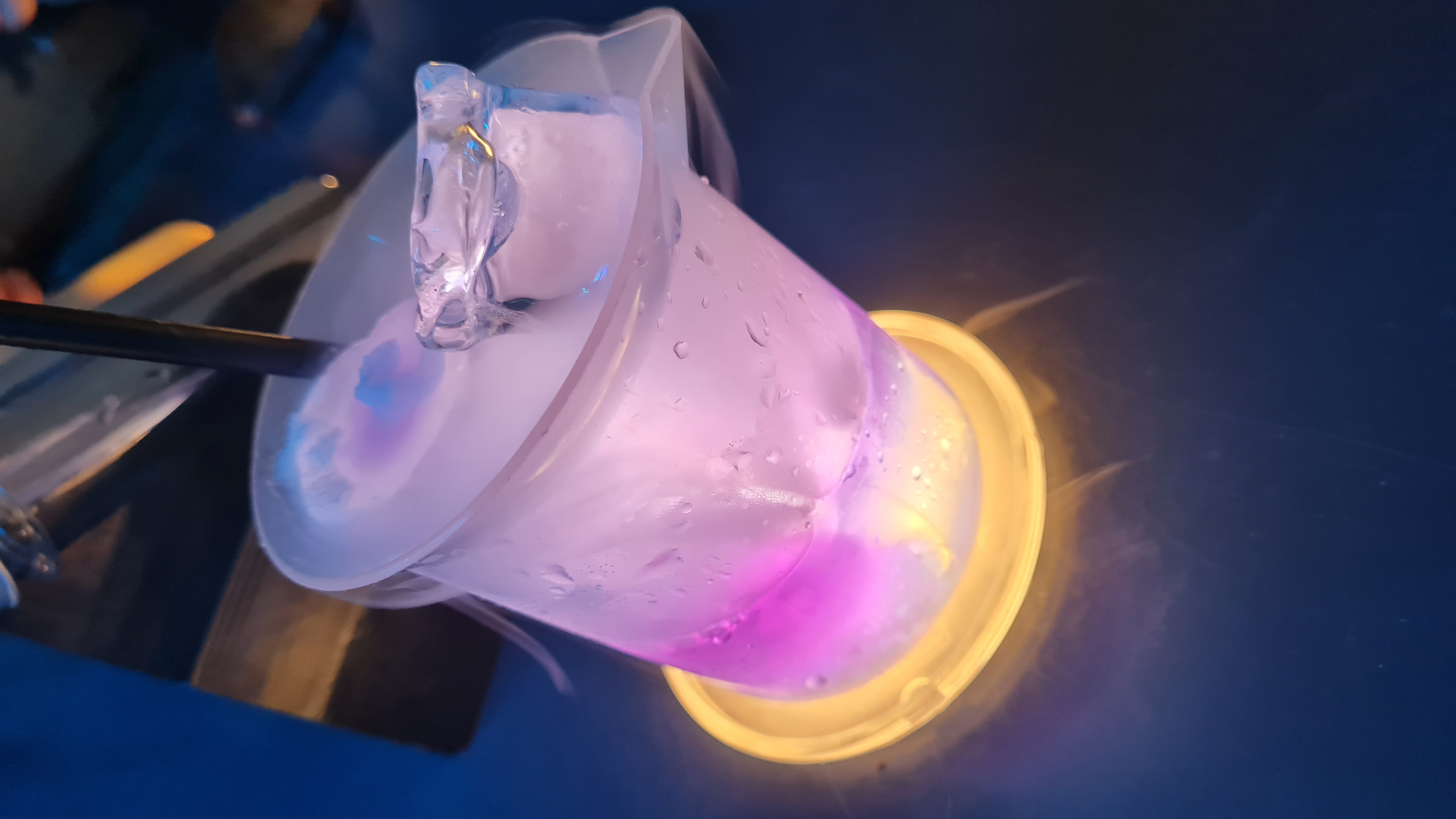 Avora: Immersive Cocktail Experience